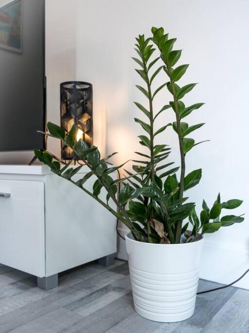 Logement Le Serein Toulon Extérieur photo