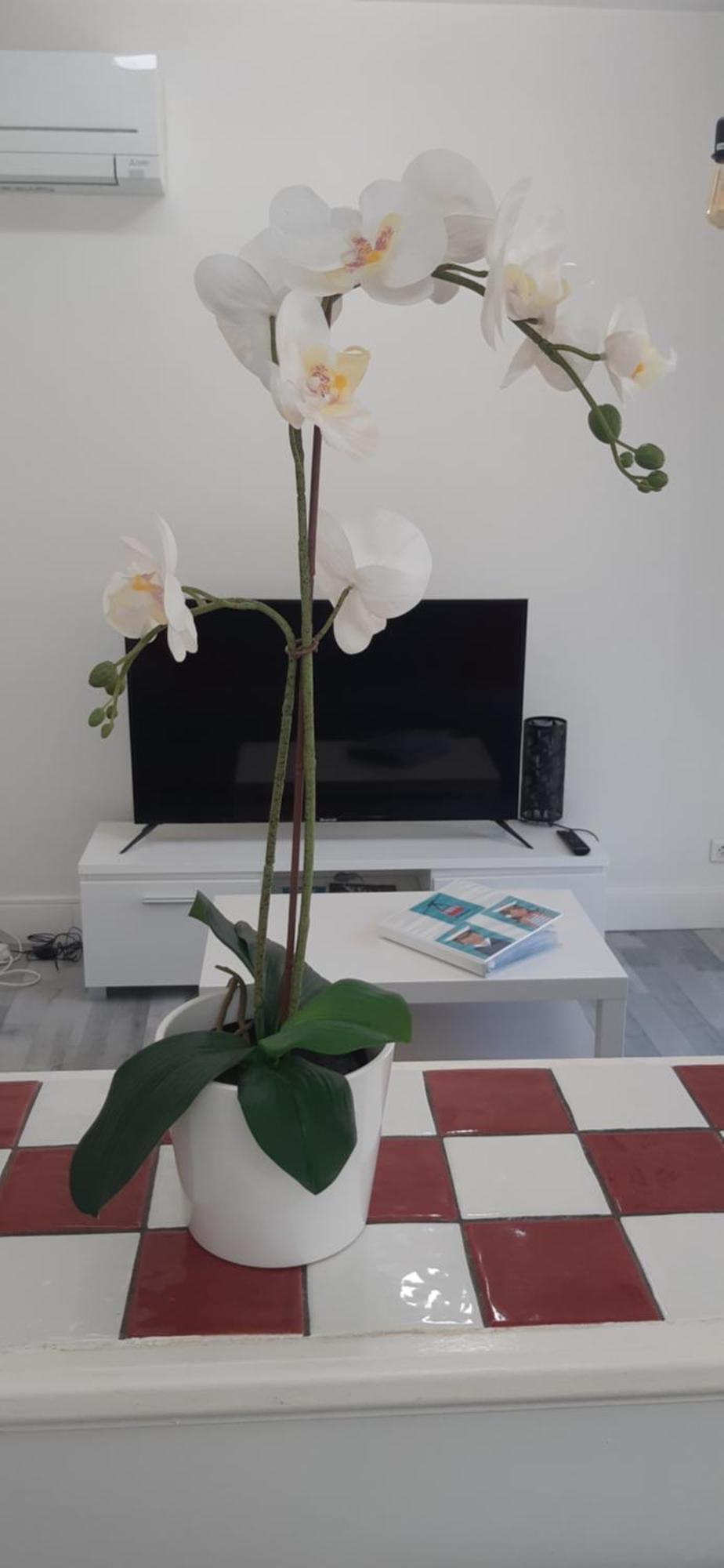 Logement Le Serein Toulon Extérieur photo